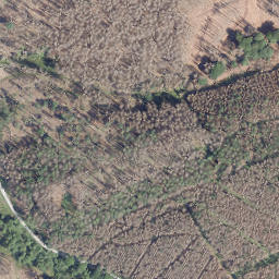 Satellite imagery of Hohe Bracke, DE