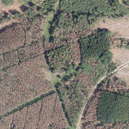 Satellite imagery of Hohe Bracke, DE
