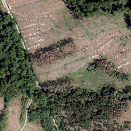 Satellite imagery of Meidenberg, DE