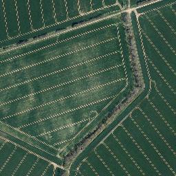 Satellite imagery of Lehn, DE