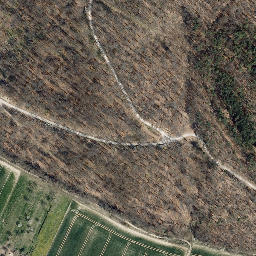 Satellite imagery of Langenberg, DE