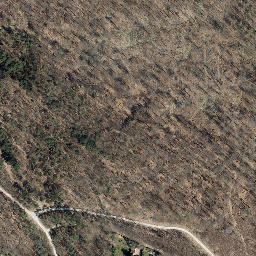 Satellite imagery of Langenberg, DE