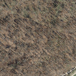 Satellite imagery of Langenberg, DE