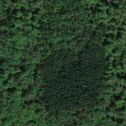 Satellite imagery of Mittelberg, DE