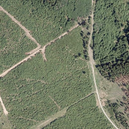 Satellite imagery of Großer Storchschnabel, DE