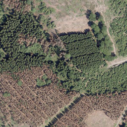 Satellite imagery of Großer Storchschnabel, DE