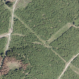 Satellite imagery of Großer Storchschnabel, DE
