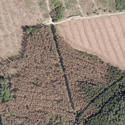 Satellite imagery of Volksloh, DE