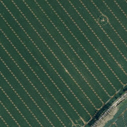 Satellite imagery of Lehn, DE