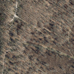 Satellite imagery of Kalte Lindenberg, DE