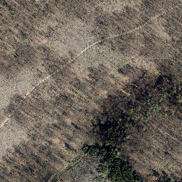 Satellite imagery of Zehnsberg, DE