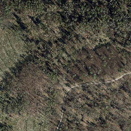 Satellite imagery of Hollberg, DE