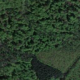 Satellite imagery of Mittelberg, DE