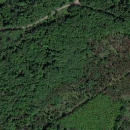 Satellite imagery of Tannenberg, DE