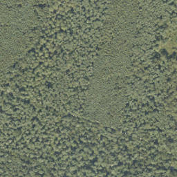 Satellite imagery of 250-A, NL