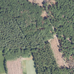 Satellite imagery of Dorskopf, DE