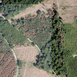 Satellite imagery of Neuer Berg, DE