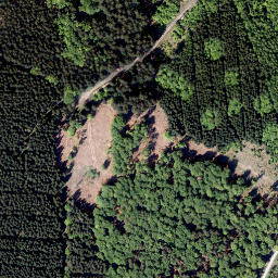 Satellite imagery of Blumenkopf, DE