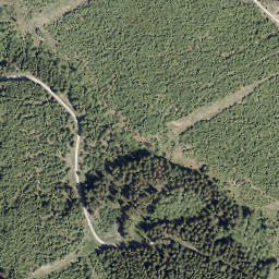 Satellite imagery of Großer Storchschnabel, DE