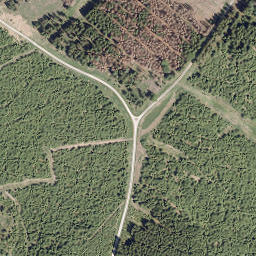 Satellite imagery of Großer Storchschnabel, DE
