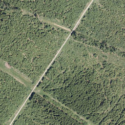 Satellite imagery of Großer Storchschnabel, DE