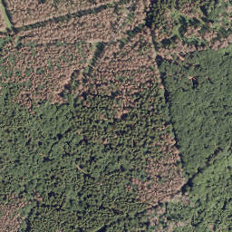 Satellite imagery of Volksloh, DE