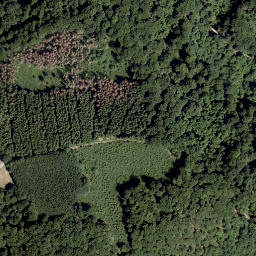 Satellite imagery of Weisse Frau, DE
