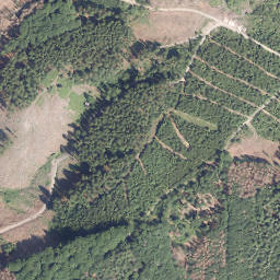Satellite imagery of Damberg, DE