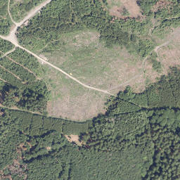 Satellite imagery of Damberg, DE