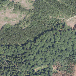 Satellite imagery of Damberg, DE