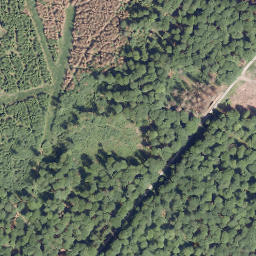Satellite imagery of Neuer Berg, DE