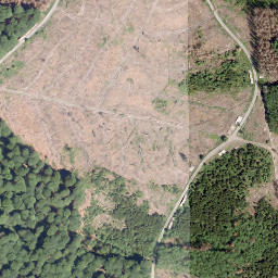 Satellite imagery of Neuer Berg, DE