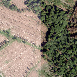Satellite imagery of Brandenberg, DE