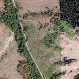Satellite imagery of Blumenkopf, DE