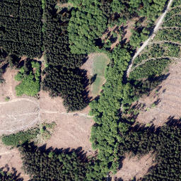 Satellite imagery of Blumenkopf, DE