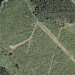 Satellite imagery of Großer Storchschnabel, DE