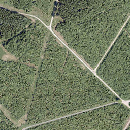 Satellite imagery of Großer Storchschnabel, DE