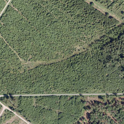 Satellite imagery of Großer Storchschnabel, DE