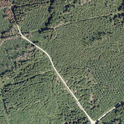 Satellite imagery of Volksloh, DE