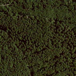 Satellite imagery of Escheberg, DE