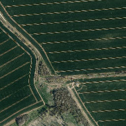 Satellite imagery of Rosenberg, DE