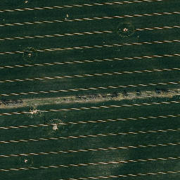 Satellite imagery of Rosenberg, DE