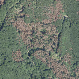 Satellite imagery of Damberg, DE