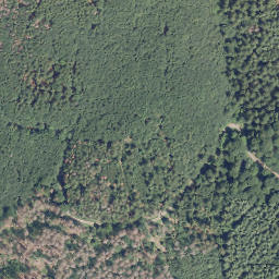 Satellite imagery of Damberg, DE