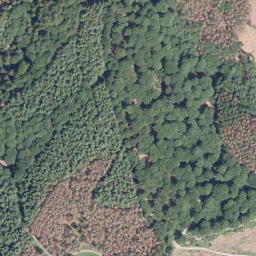 Satellite imagery of Damberg, DE