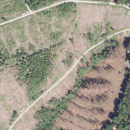 Satellite imagery of Neuer Berg, DE