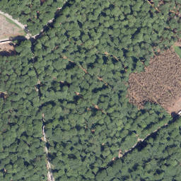 Satellite imagery of Neuer Berg, DE