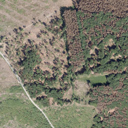 Satellite imagery of Sauerberg, DE