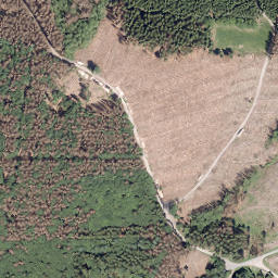Satellite imagery of Sauerberg, DE