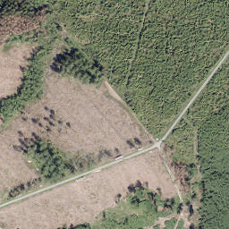 Satellite imagery of Sauerberg, DE